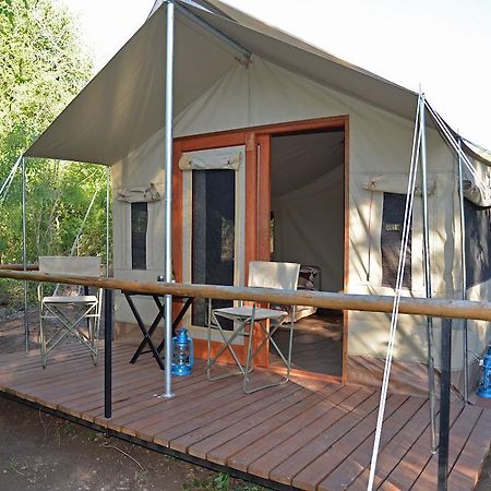 The Wild Olive Tree Camp Hotel Welverdiend  Quarto foto