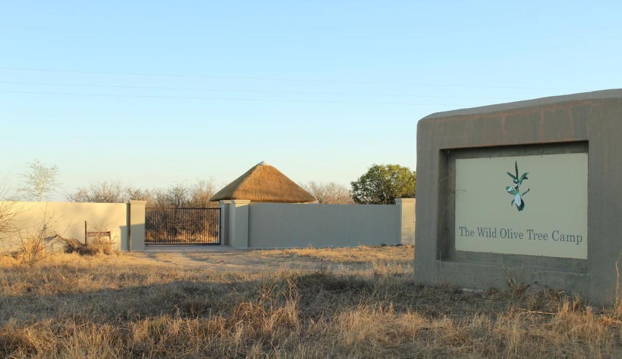 The Wild Olive Tree Camp Hotel Welverdiend  Exterior foto
