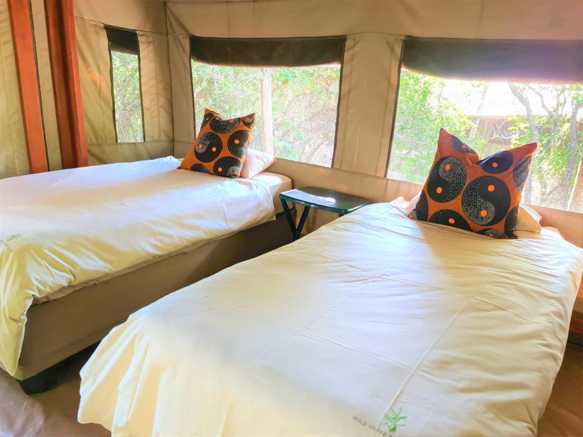 The Wild Olive Tree Camp Hotel Welverdiend  Exterior foto