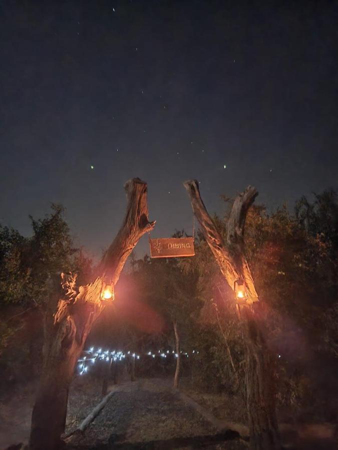 The Wild Olive Tree Camp Hotel Welverdiend  Exterior foto